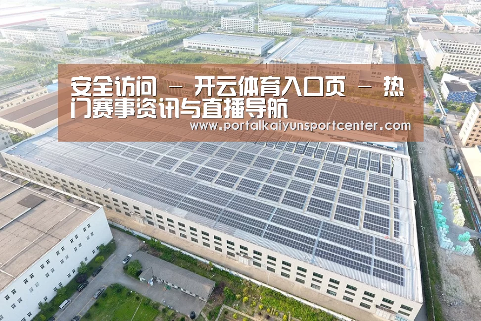 案例展示二