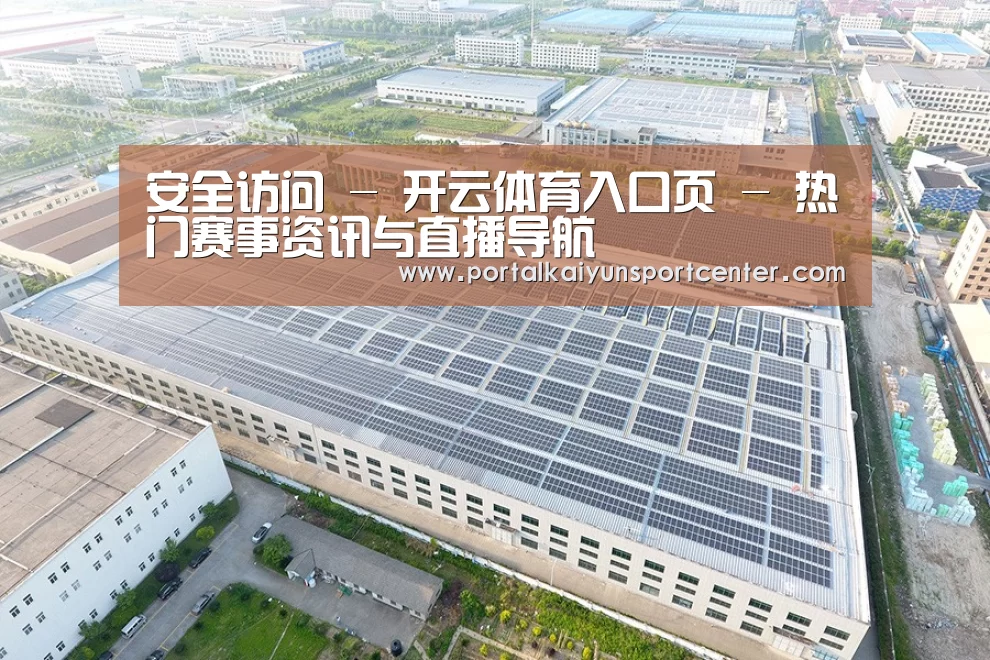 案例展示一