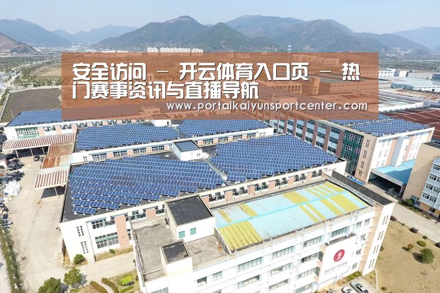 案例展示四