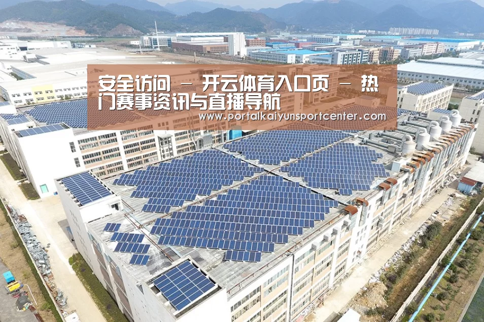 案例展示二