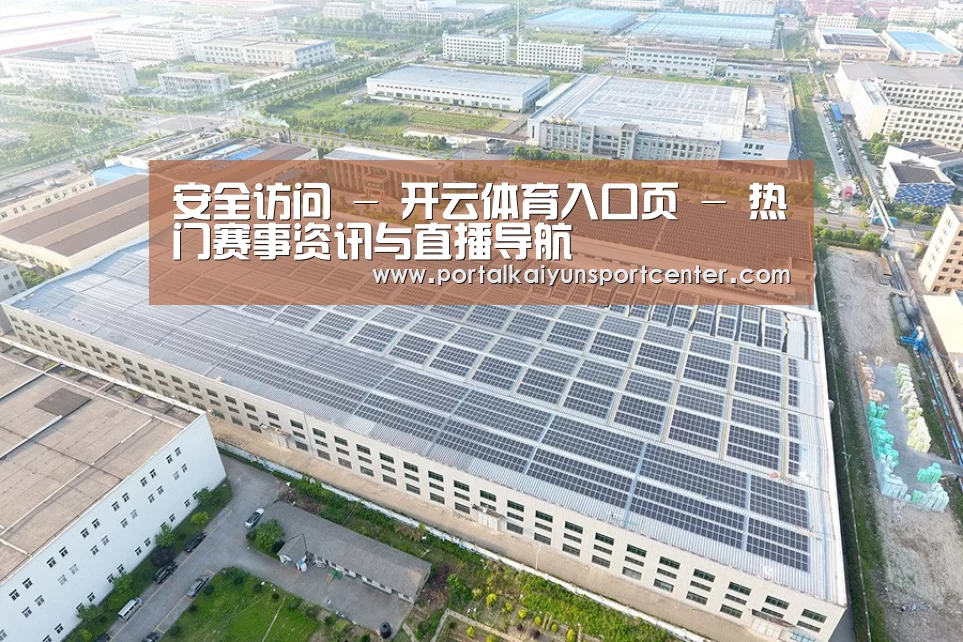 案例展示二