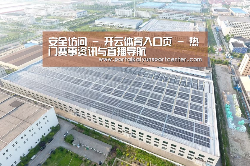 案例展示三