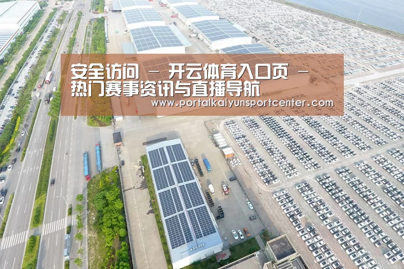 案例展示四