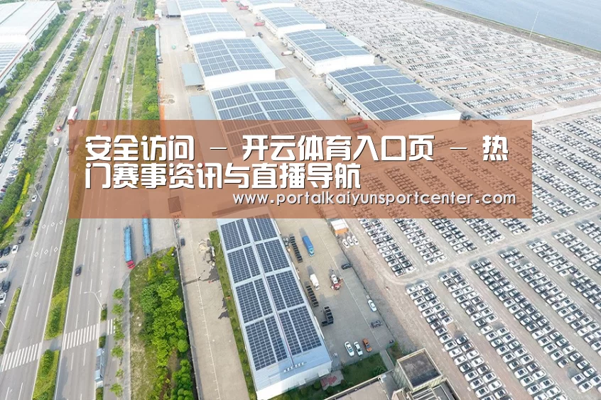 案例展示二
