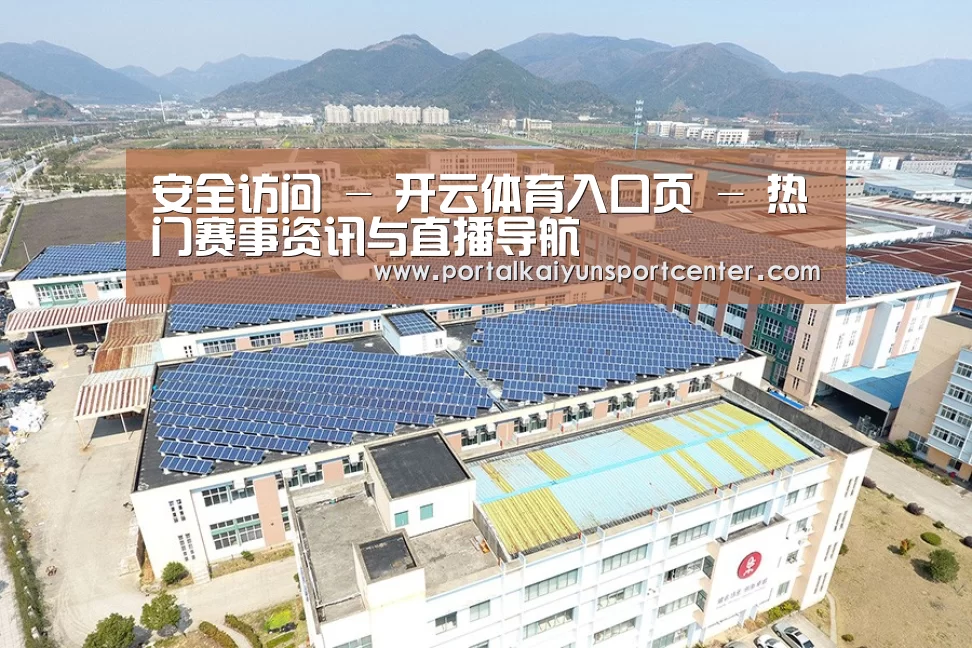 案例展示三