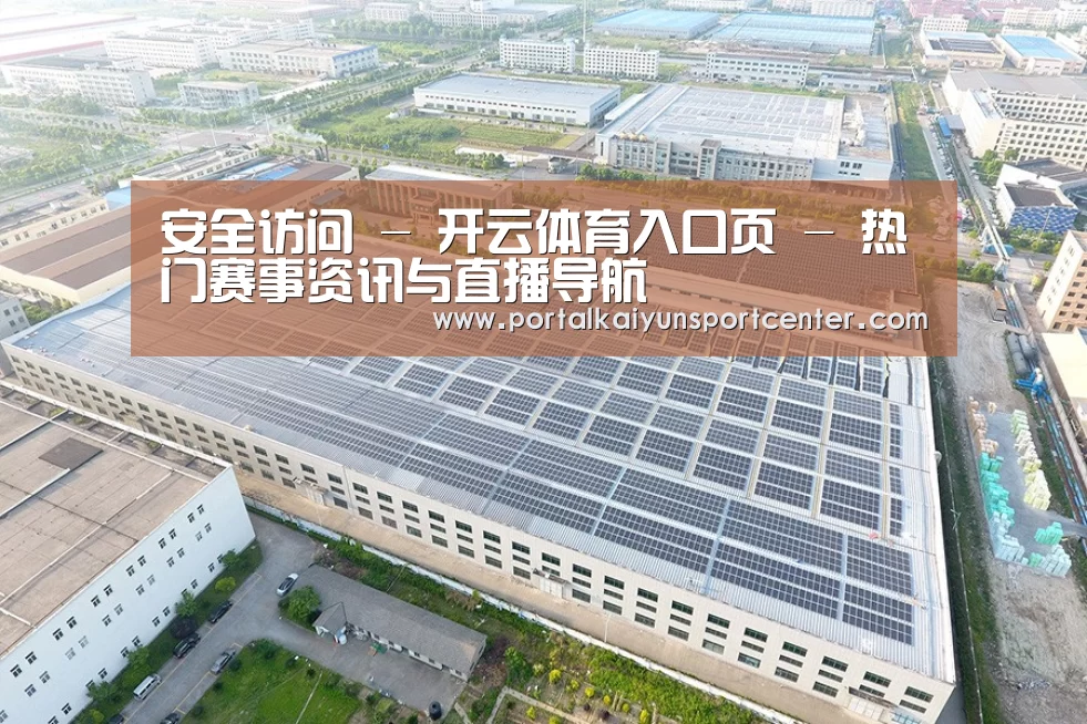 案例展示四