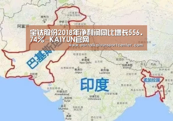 宝钛股份2018年净利润同比增长556.74%-KAIYUN官网(图2) 开云入口