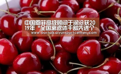 中国恩菲高级顾问于润沧获2019年“全国离退休干部先进个人”荣誉称号‘开云体育’(图3) 开云体育高清直播