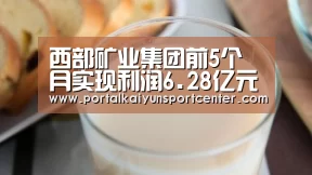 西部矿业集团前5个月实现利润6.28亿元‘开云入口’(图1) KAIYUN官网