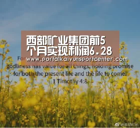 西部矿业集团前5个月实现利润6.28亿元‘开云入口’(图4) 开云体育高清直播
