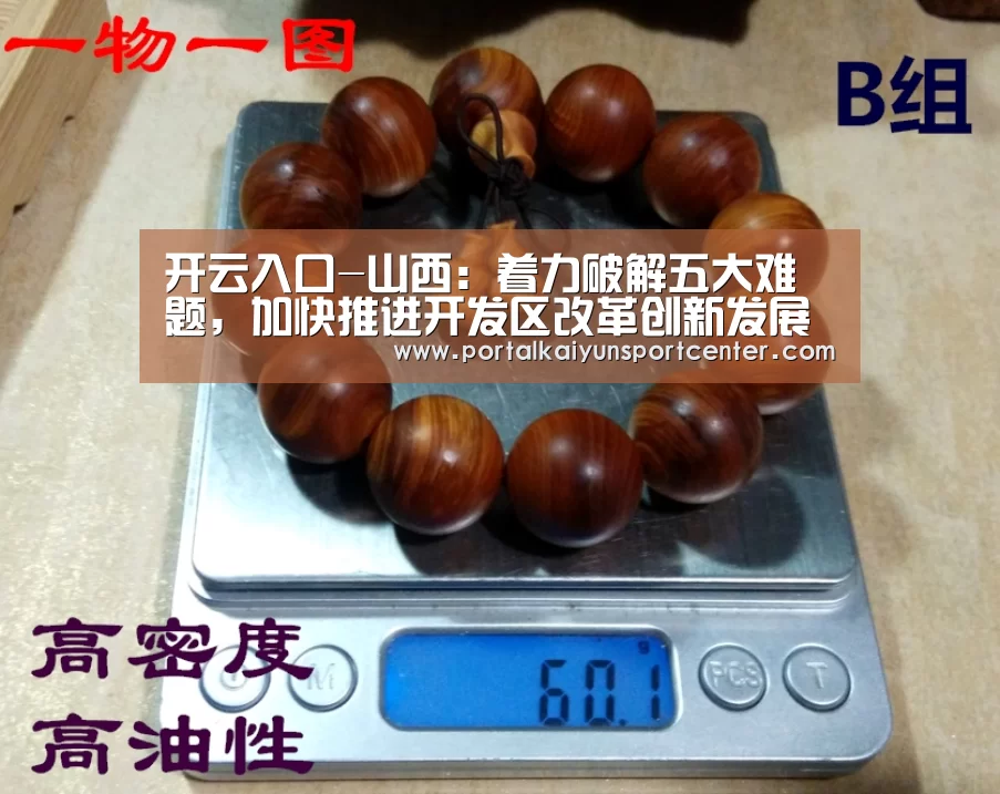 开云入口-山西:着力破解五大难题,加快推进开发区改革创新发展(图3) 开云体育